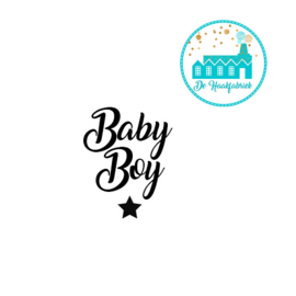 Baby Boy Big Labels met drukknoop 10 cm x 3 cm naturel