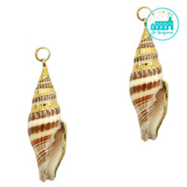 Schelp Bedel Wulk Brown beige-gold ca. 42x13mm