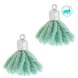 Mint Brushes 2 cm