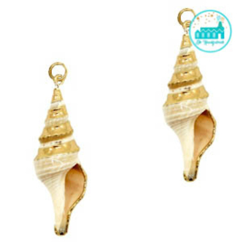 Schelp Bedel Wulk beige-gold 	ca. 45x13mm