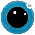 Veiligheidsoogjes gekleurd rond 6MM Blauw