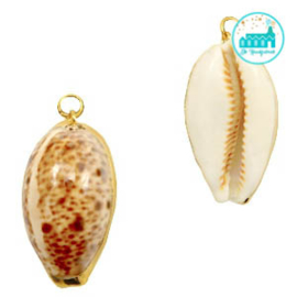 Schelp Bedel Kauri Beige brown-gold ca. 35x19mm