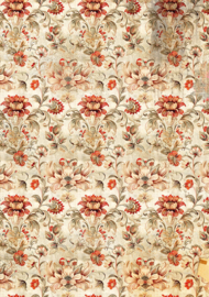 Cabinet of Curiosities mixed