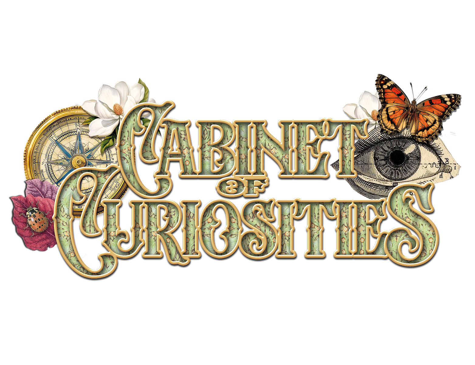Cabinet of Curiosities