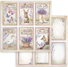 Lavender