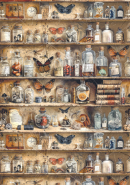 Cabinet of Curiosities