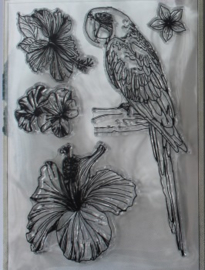 Tropical Flowers/ Parrot - Clearstamp