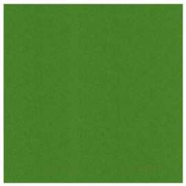 Fern Green	SC60