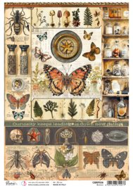 Cabinet of Curiosities - Science
