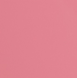 Beetroot