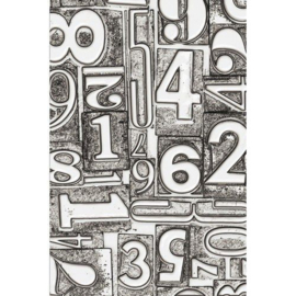 3-D Texture Fades Embossing Folder Numbered