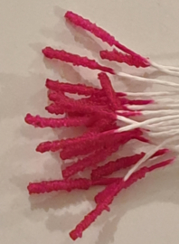 Fuchsia - Meeldraden glas