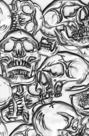 3-D Texture Fades Embossing Folder Skulls