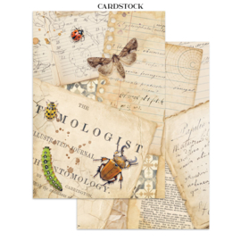 All Around - Junk Journal Backgrounds & Cut-Outs