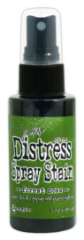 Forest Moss - Distress Spray Stain