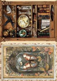 Cabinet of Curiosities
