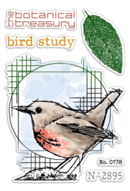 Bird Study - Clearstamp