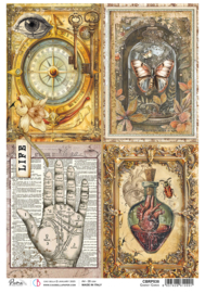 Cabinet of Curiosities - Cards