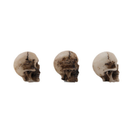 Tim Holtz Halloween Skulls & Bones