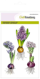 Hyacinth  - Clearstamp