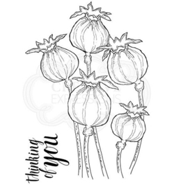 Poppy heads - Clearstamps