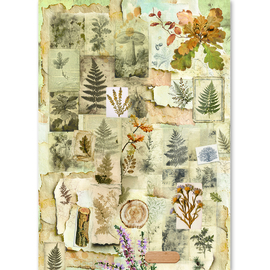 The Nature Journal