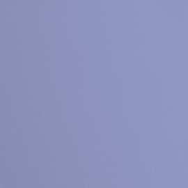Steel