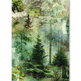 The Nature Journal