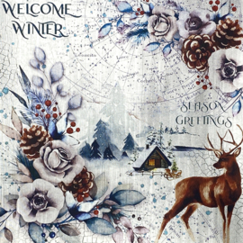 Winter Journey Deluxe Paper - Silver