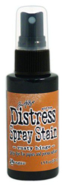 Rusty Hinge - Distress Spray Stain