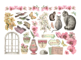 Orchids and Cats Ephemera - Ephemera