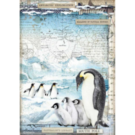 Penguins - Rijstpapier A4