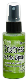 Peeled Paint - Distress Oxide Spray