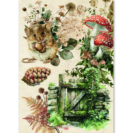 The Nature Journal