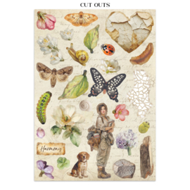 All Around - Junk Journal Stickers, Backgrounds, Cut-Outs