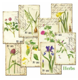 Decorer mini Paper Pack - Herbs