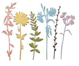 Thinlit - Vault Wildflowers
