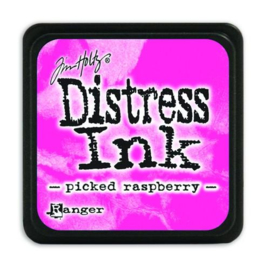 Picked Raspberry - Distress Inkpad mini