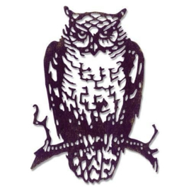 Ornate Owl - Stans