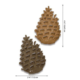 Pinecone - Stans