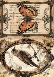 Cabinet of Curiosities mixed