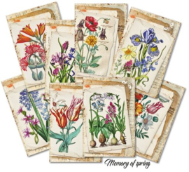 Decorer mini Paper Pack - Memory of Spring