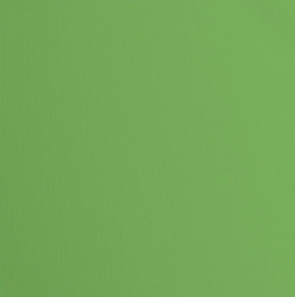 Moss