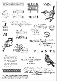 Framelits Die w/Stamps - Bird Song