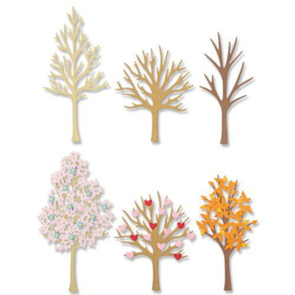 Seasonal Trees