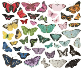Simple Vintage Essentials Bits & Pieces - Color Palette Butterfly