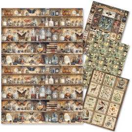 Cabinet of Curiosities