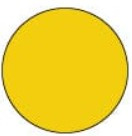 Mustard Seed - Distress Embossing Glaze Powder