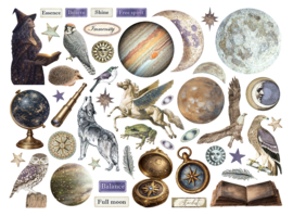 Cosmos - Chipboard