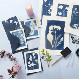 Hobbyset Cyanotype Blauw